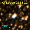 Cl Loden 2158    12