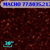 MACHO  77.8035.212
