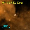 V* V1751 Cyg