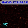 MACHO  17.3190.2996