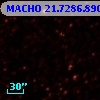 MACHO  21.7286.890