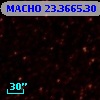 MACHO  23.3665.30