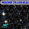 MACHO  28.11645.653