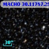 MACHO  30.11787.294