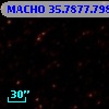 MACHO  35.7877.798