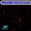 MACHO  37.5222.31