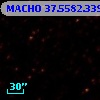 MACHO  37.5582.339