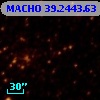 MACHO  39.2443.63