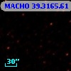 MACHO  39.3165.61