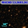 MACHO  53.3603.361