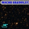 MACHO  60.6988.373