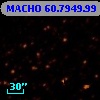 MACHO  60.7949.99