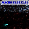 MACHO  61.8312.31