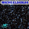 MACHO  61.8436.84