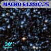 MACHO  61.8802.25