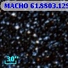 MACHO  61.8803.1299