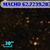 MACHO  62.7239.203