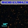 MACHO  63.7004.236