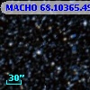 MACHO  68.10365.49