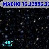 MACHO  75.12895.356