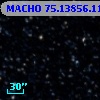 MACHO  75.13856.117