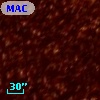 MACHO  77.8154.202