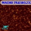MACHO  78.6103.2320