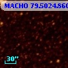 MACHO  79.5024.860