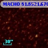 MACHO  81.8521.670