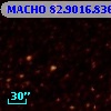 MACHO  82.9016.836