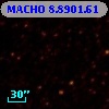MACHO   8.8901.61