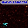 MACHO   9.5000.790