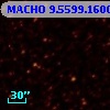 MACHO   9.5599.1600