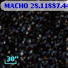 MACHO  28.11887.443