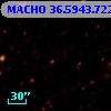 MACHO  36.5943.722