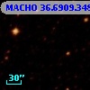 MACHO  36.6909.348