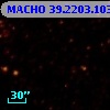 MACHO  39.2203.103