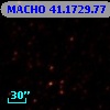 MACHO  41.1729.77