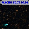 MACHO  60.7716.80