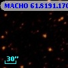 MACHO  61.8191.170