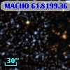 MACHO  61.8199.36