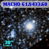 MACHO  61.8433.60