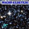 MACHO  61.8679.36