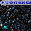 MACHO  61.8803.526