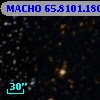 MACHO  65.8101.180