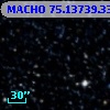 MACHO  75.13739.339