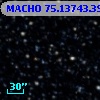 MACHO  75.13743.39