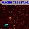 MACHO  77.8157.461