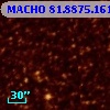 MACHO  81.8875.1611