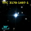 TYC 3170-1497-1
